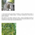 CYannic -Projet APLA Père Lachaise2013